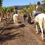 Daire Casa Tayri De Tamaide Tenerife Sur *